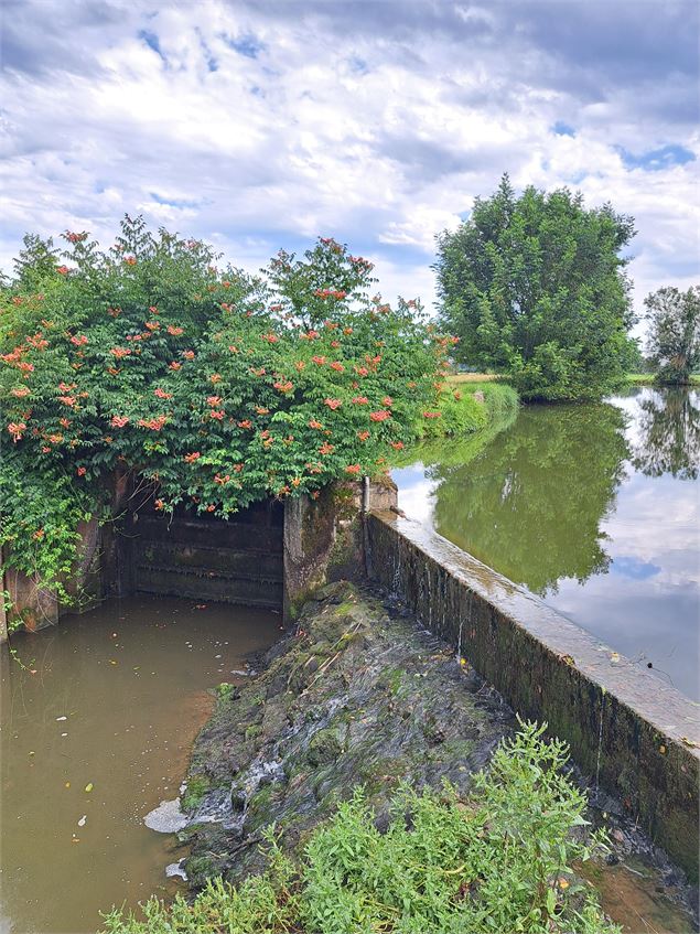Le Moulin de Bruno et son pont, Sauvegarde et promotion Patrimoniale_Jayat - MP OTBBD