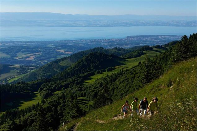 le Mont Forchat en Vallée Verte - OTADL