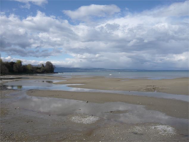 Plage hiver année bissextile - J Favrat Vaudaux