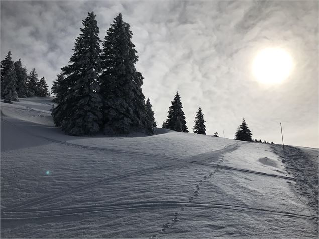 En allant au Crêt de la Neige - AMBarbe