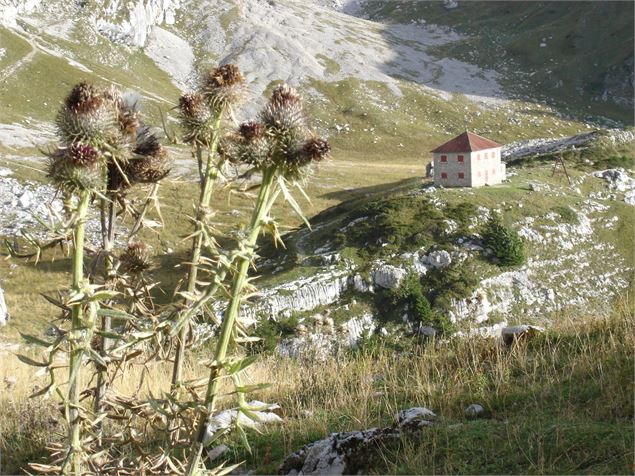 Refuge de la Torunette (Fermé) - ML Frescurat