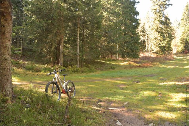 Tapis herbeux - école de VTT La Féclaz - Massif des Bauges
