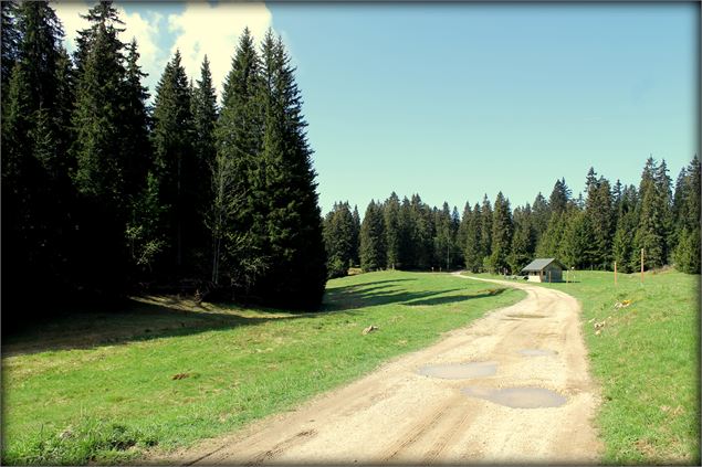 Piste VTT FFC bleue - La Féclaz - école de VTT La Féclaz - Massif des Bauges