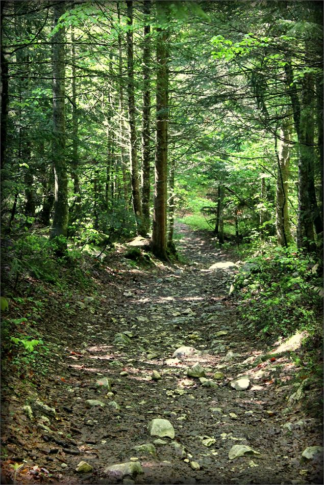 Piste VTT FFC bleue - La Féclaz - école de VTT La Féclaz - Massif des Bauges