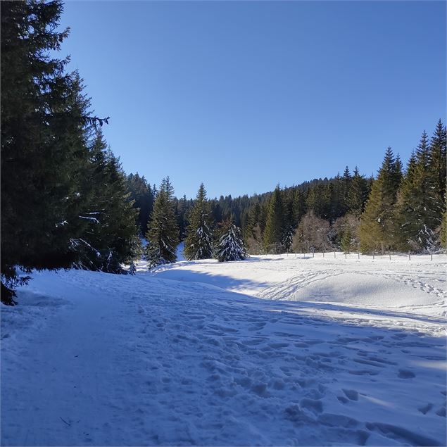 balcons du lac - L.MARTIN