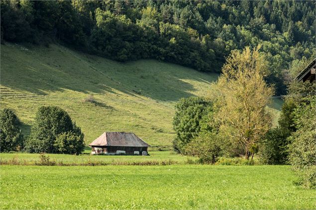 Paysage et village d'Ecole-en-Bauges - M.Lanchon