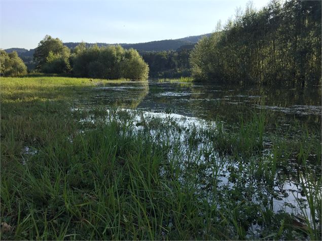 Lac de l'Oignin - Mélanie Chanel