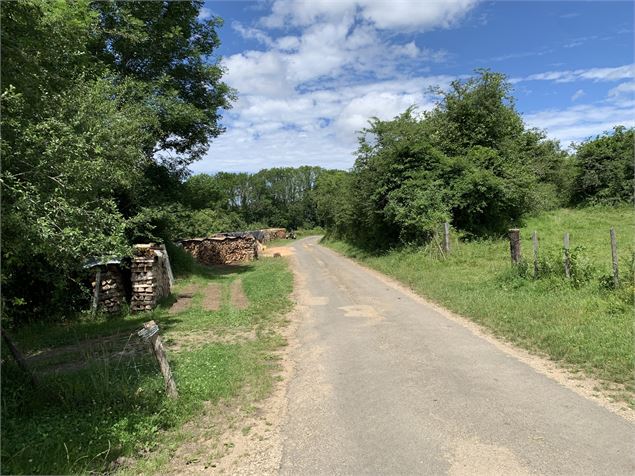 Route goudronnée - Maxime Michel