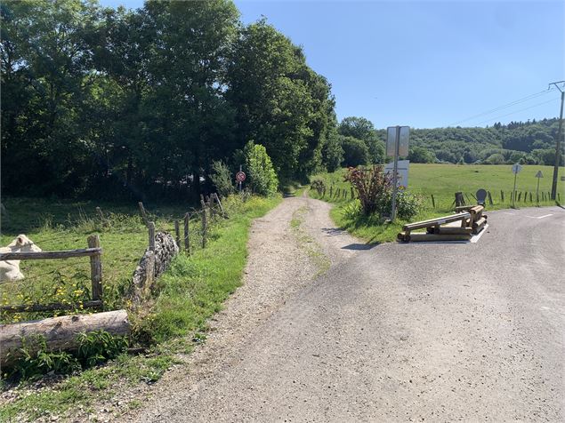 Chemin gravillons - Maxime Michel