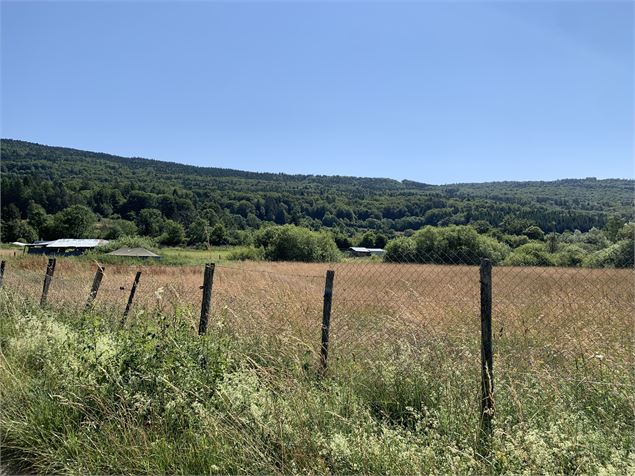 Chemin de campagne - Maxime Michel