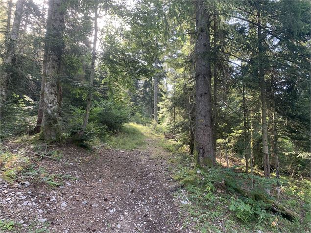 La borne des Trois cantons-Montflacon - Maxime Michel