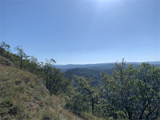 Le grand tour du plateau de Chamoise - Maxime Michel