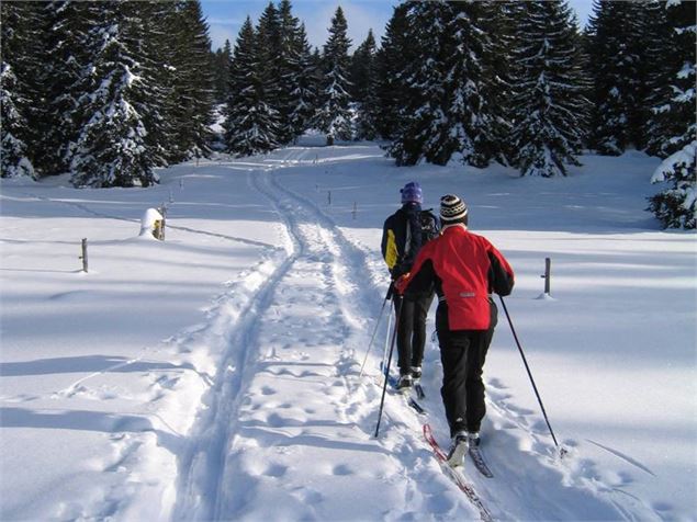 Col des Moises - Col du Feu - OT Alpes du Léman