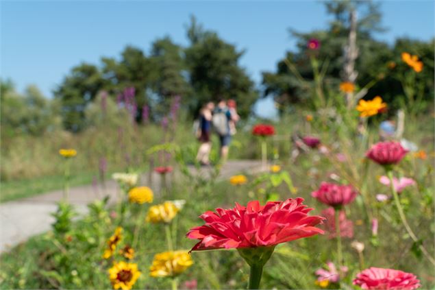 Les jardins de l'eau du Pré Curieux - Evian Tourisme
