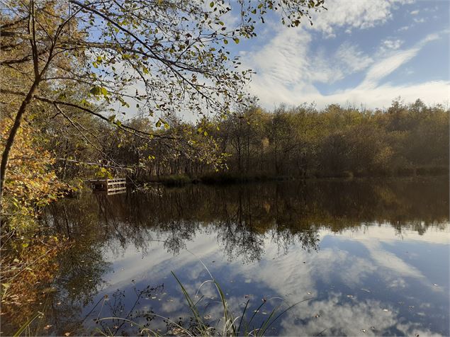 Etang de Bizadan - Département Ain - S Tournier
