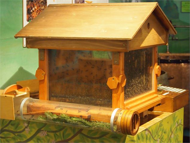 - Musée de la nature
