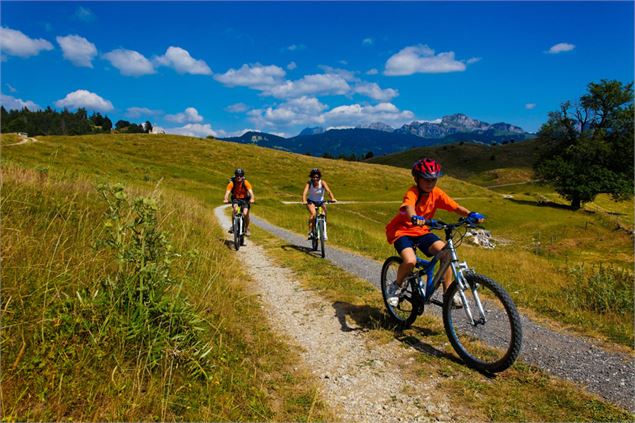 Parcours VTT Tour du plateau de Plains Joux_Villard - OT Alpes du Léman - Gilles Place