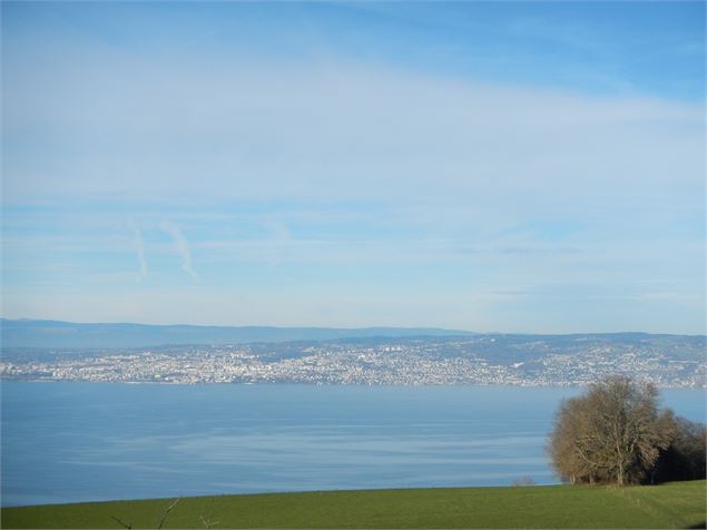 Lac Léman - Dominique SAMPER