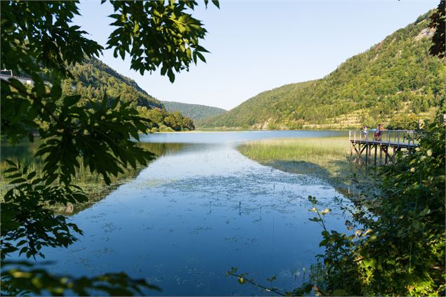 Paysage - Département de l'Ain / S. Tournier