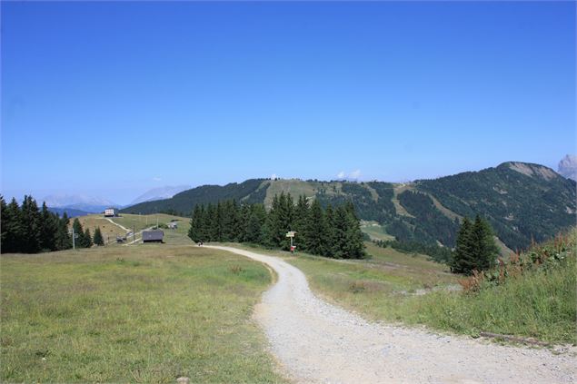 Randonnée Les Houches - Alexandre Juillet