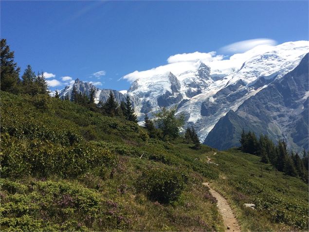 sentier chailloux -aiguillette