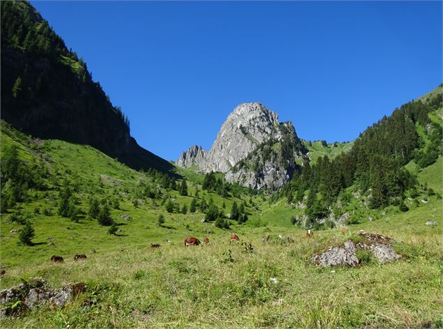 Mont Brion randonnée - Patrick Brault