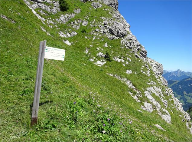 Passage de Savolaire - Patrick Brault