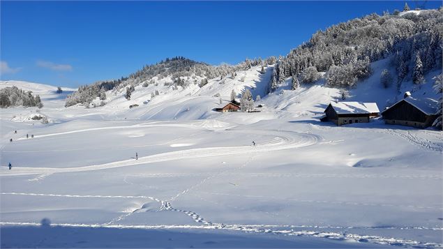 Boucle de la piste verte sur le Plateau de Plaine Joux, au milieu des chalets d'alpage - Maison des