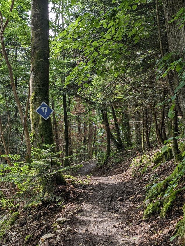Balisage sur le Bike Park des Monts Jura - Nathanaël Desmeules