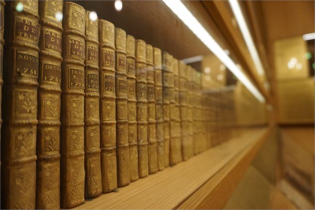 Dictionnaires - Pauline Ruberti