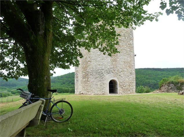 Parcours VTT 66 bleu - Plaine de Saint Martin - Espace FFC Ain Forestière - Haut-Bugey