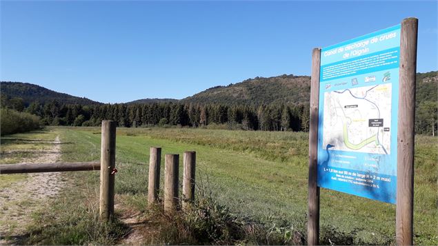 Parcours VTT 66 bleu - Plaine de Saint Martin - Espace FFC Ain Forestière - Haut-Bugey
