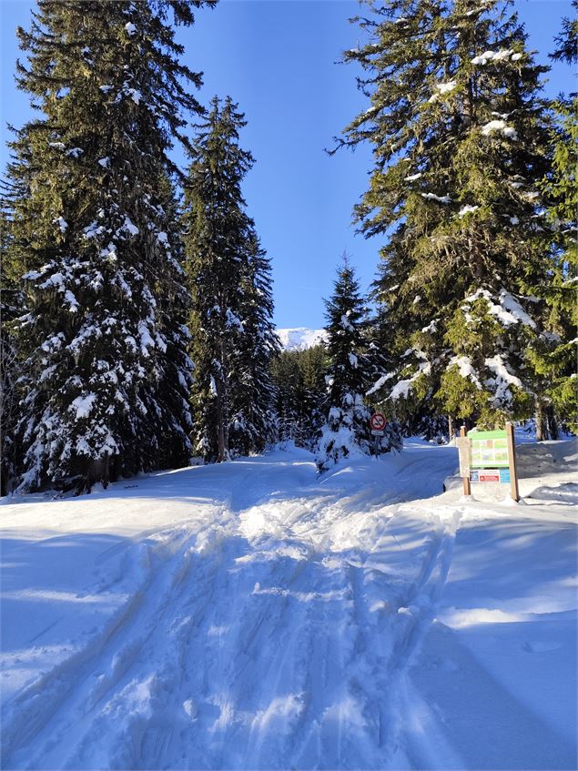 Arrivée aux Plaines - © Cordon Tourisme