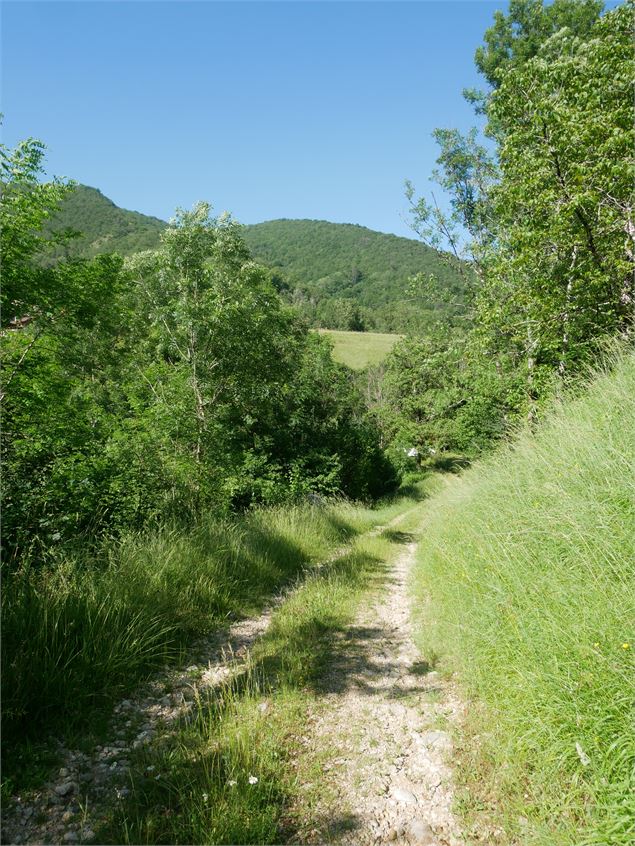 Sentier - TourismeHautBugey©2014_MarcChatelain