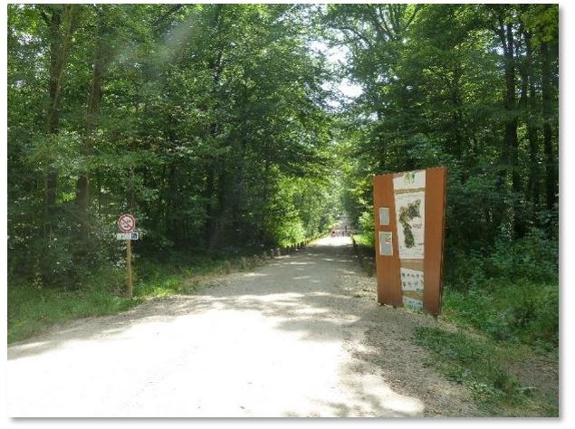 Espace pédagogique forestier de Seillon - ©pas sage d'Images