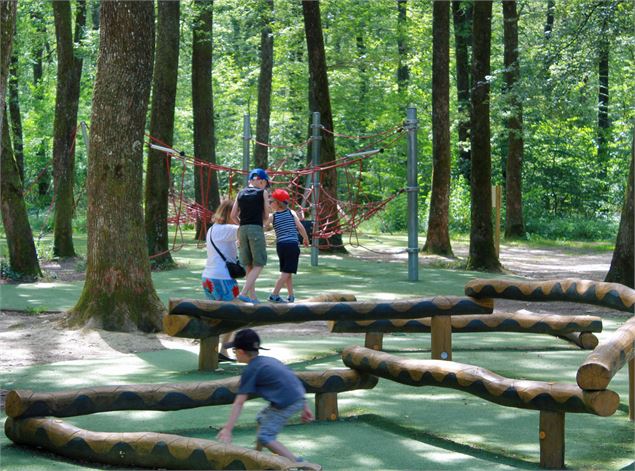 (6) seillon©JF_OTBBA -RT - foret-seillon_credit GT OTBBA (35)