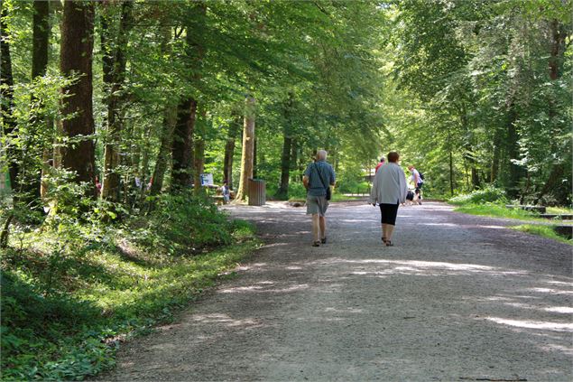 (5) seillon©JF_OTBBA -RT - foret-seillon_credit GT OTBBA (35)