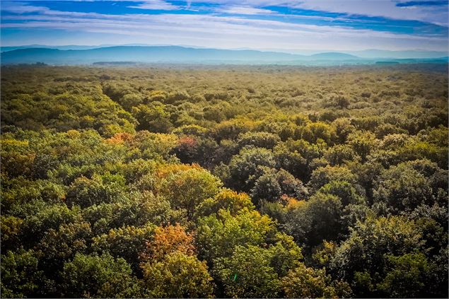 Vue du ciel - foret-seillon_credit GT OTBBA (35)