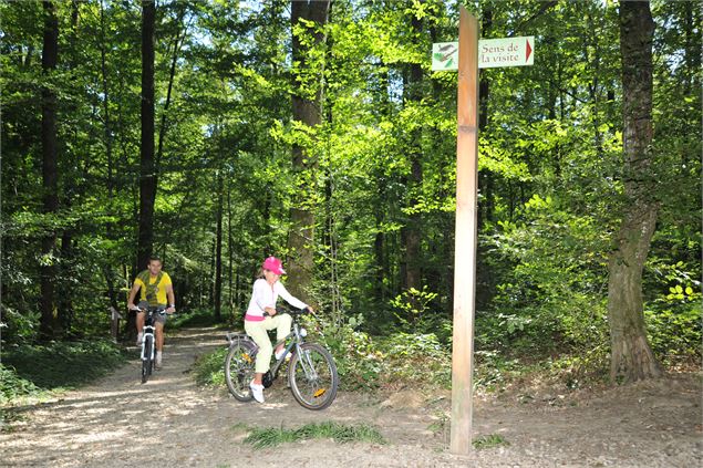 cyclo credit Corinne Bertrand (3) - foret-seillon_credit GT OTBBA (35)