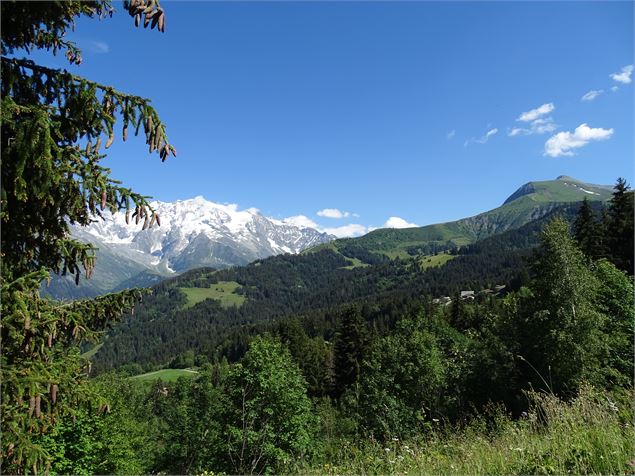 Montée du Mont Joly