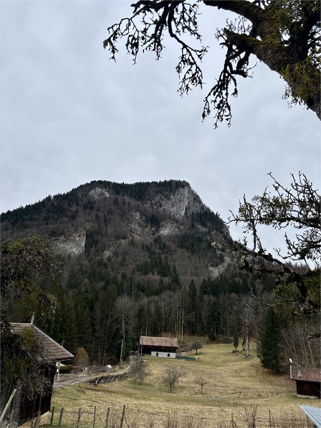 Paysage - CAMT