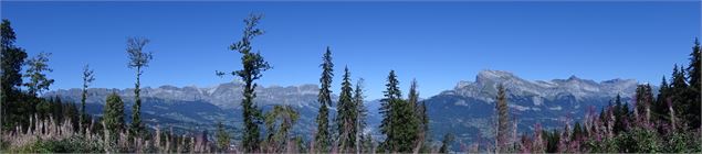 Panorama Les Aravis et les Fiz - M. Mautué