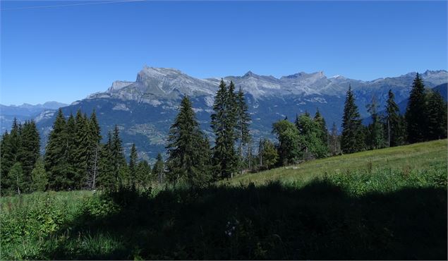Vue des Fiz des Grands Prés - M. Mautué
