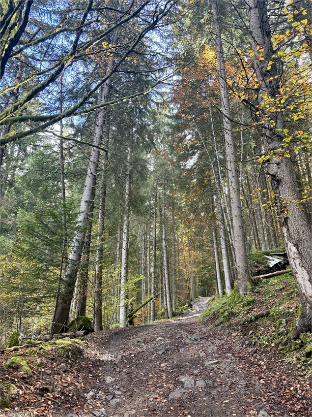 Sentier - CAMT