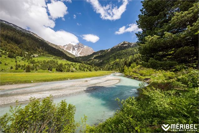 Réserve Naturelle nationale du Plan de Tuéda - Sylvain Aymoz - Méribel Tourisme
