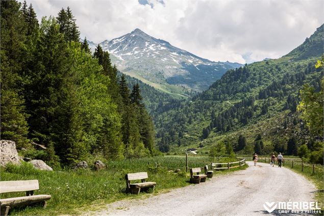 Réserve Naturelle nationale du Plan de Tuéda - Sylvain Aymoz - Méribel Tourisme