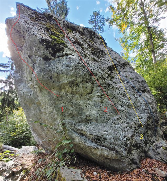 Bloc de Sancellemoz (face Est) 1/ Dré dehors 6b+ 2/ Une petite mousse pour la route 5a 3/ Accès 3 (