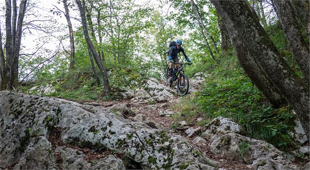 Vers le col du Crucifix - F.Barre