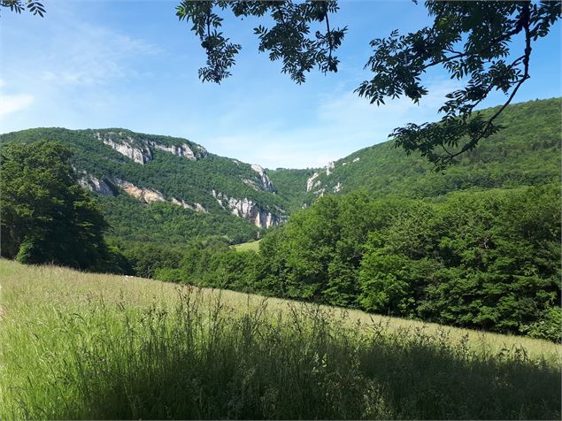 Combe de la cascade de Luizet - S.Megani