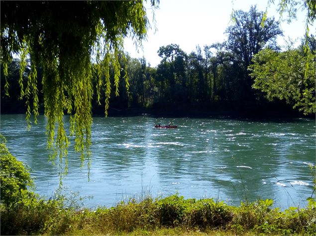 le Rhône à St Vulbas - S.Megani